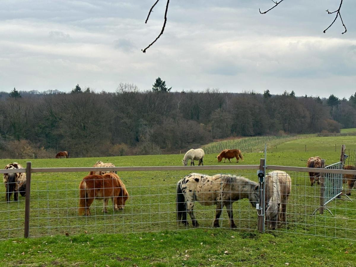 Bungalowpark Landsrade Gulpen Exteriér fotografie