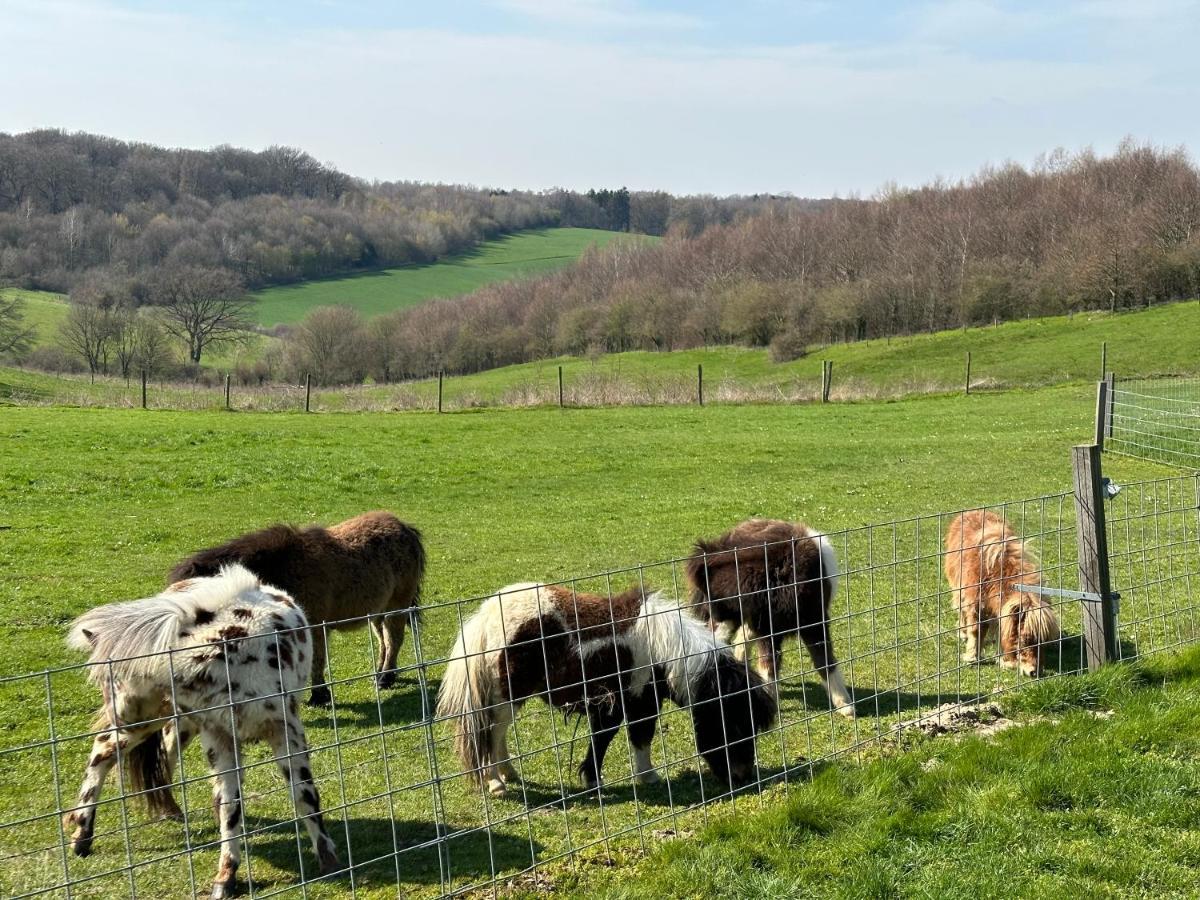 Bungalowpark Landsrade Gulpen Exteriér fotografie